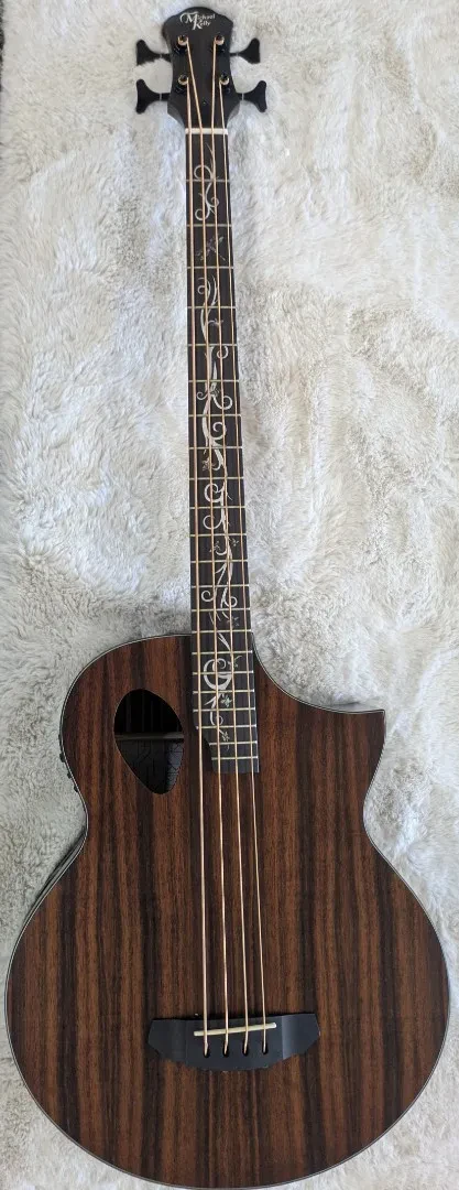 Michael Kelly Dragonfly 4 Port Acoustic-Electric Bass, Fretless - NAMM 26 Sample