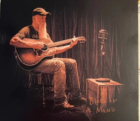 SEASICK STEVE - Blues In Mono (CD)