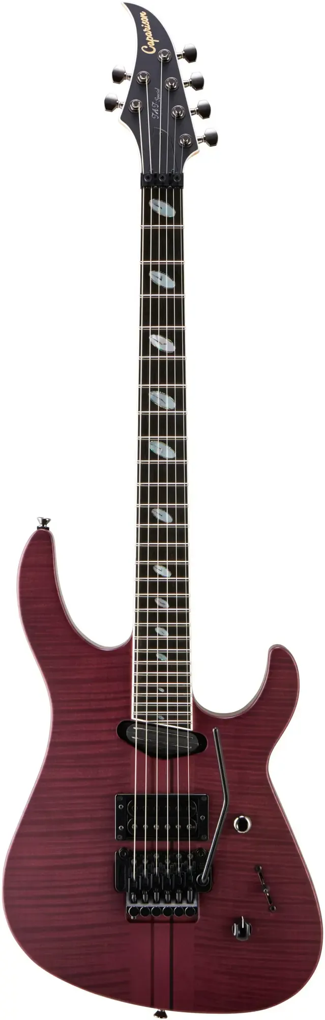 Электрогитара Caparison TAT Special FM Transparent Black Berry Matt