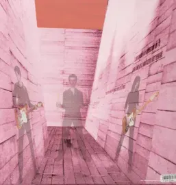 Виниловая пластинка Blonde Redhead - In An Expression of the Inexpressible [New Vinyl LP]