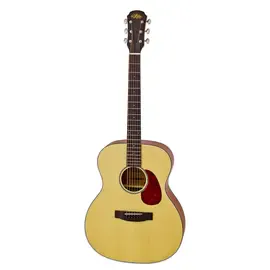 Акустическая гитара Aria-101 MTN