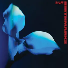 Виниловая пластинка Bambara – Birthmarks (Релиз 2025)