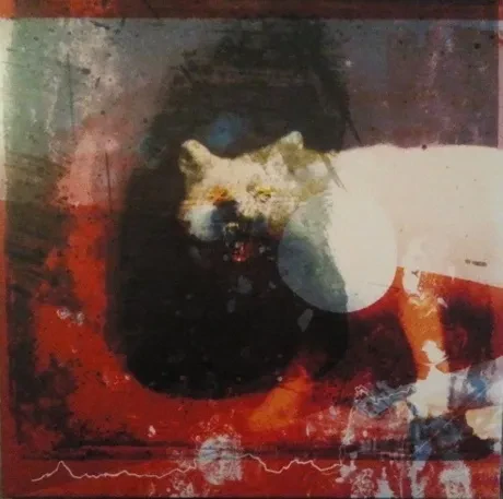 Виниловая пластинка Mogwai – As The Love Continues