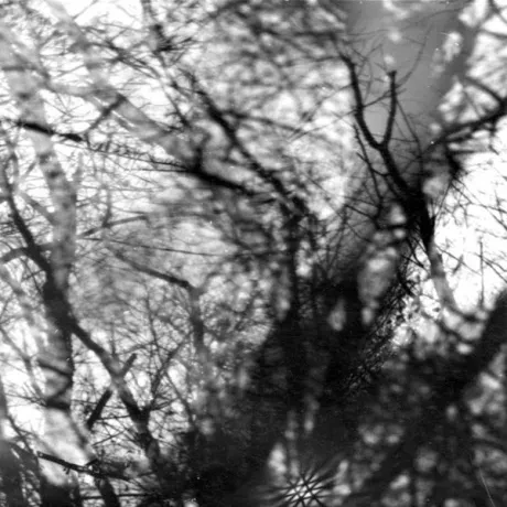GROUPER - Way Their Crept (CD)