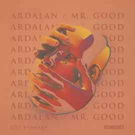 Виниловая пластинка Ardalan - Mr. Good - The Remixes [New 12" Vinyl]