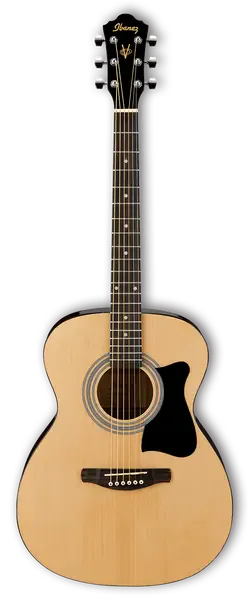 Акустическая гитара Ibanez VC50NJP-NT