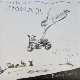 Виниловая пластинка Dinosaur Jr. – Ear Bleeding Country - The Best Of