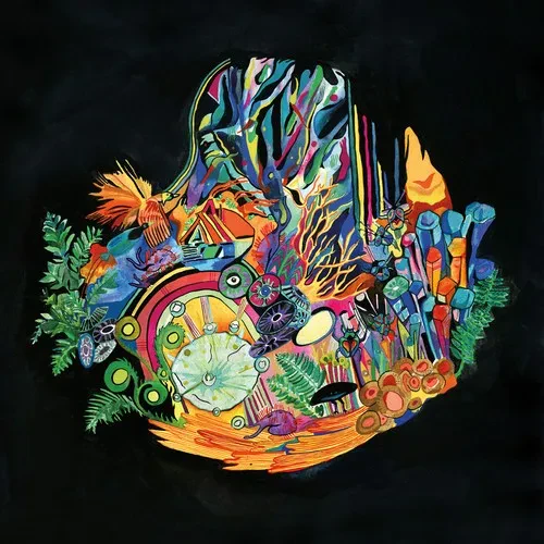 Виниловая пластинка Kaitlyn Aurelia Smith - Ears [New Vinyl LP]