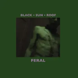 Виниловая пластинка Black Sun Roof - Feral [New Vinyl LP] With CD