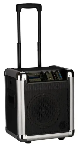 Портативная аккумуляторная АС Soundking PA8M