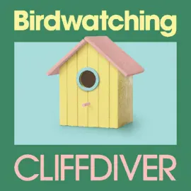 Виниловая пластинка Cliffdiver – Birdwatching 2024
