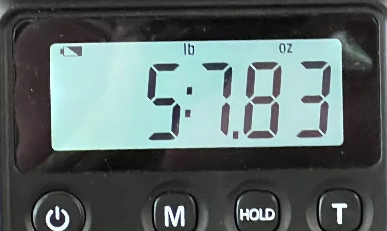 Изображение №2