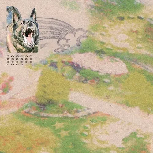 Виниловая пластинка Feeble Little Horse - Girl With Fish [New Vinyl LP] Clear Vinyl, Pink, Digital D