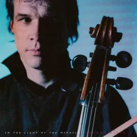 Виниловая пластинка Arthur Russell – In The Light Of The Miracle