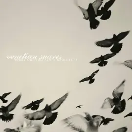 Venetian Snares - Rossz Csillag Alatt Szuletett NEW Vinyl