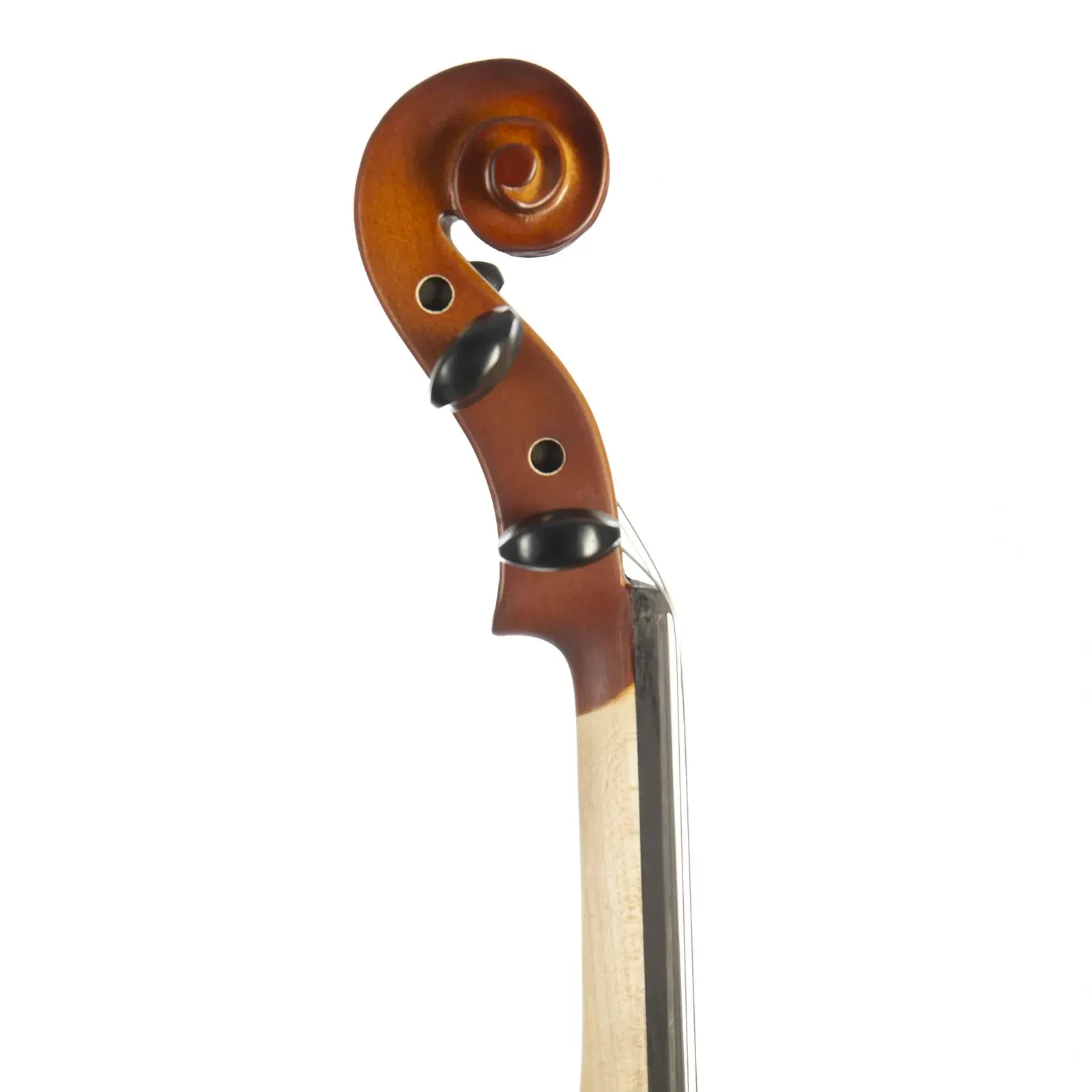 Изображение №8