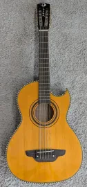 Luna Bajo Quinto 10 string Hispanic style guitar - Fina Model - Prototype