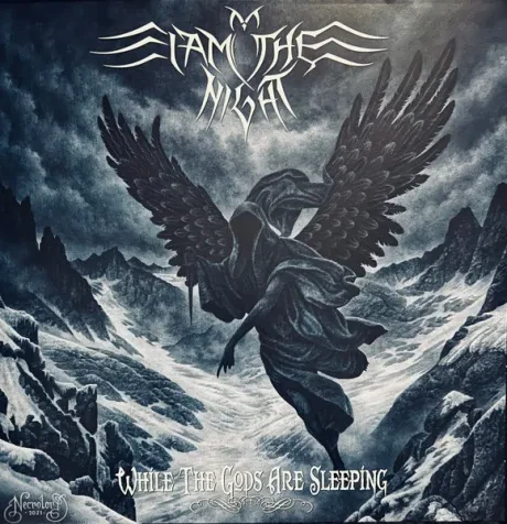 I AM THE NIGHT - While The Gods Are Sleeping (LP , Used)