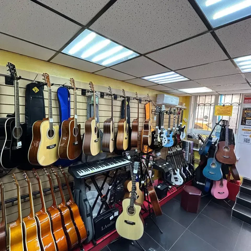 SKIFMUSIC — музыкальный магазин в Россоши