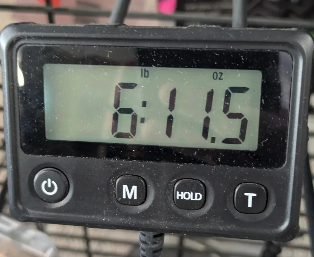 Изображение №2