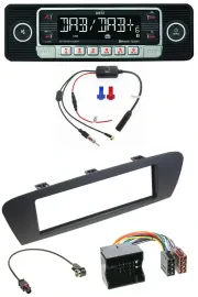 Dietz MP3 DAB Bluetooth USB Autoradio für Renault Scenic (ab 12) - braun