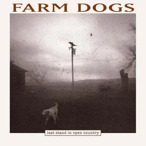 Виниловая пластинка Farm Dogs – Last Stand in Open Country (Релиз 1996)
