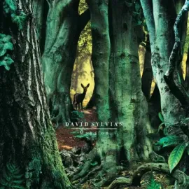 Виниловая пластинка David Sylvian – Manafon