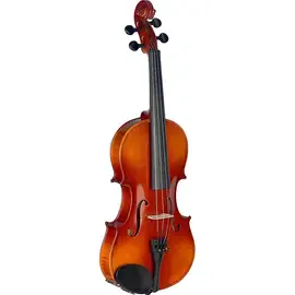 Скрипка Stagg Maple Violin with Standard-Shaped Soft Case 4/4