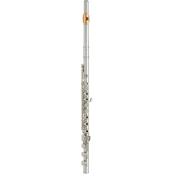 Флейта Yamaha YFL-382 Intermediate Flute Inline G B-Foot, Gold Lip-Plate
