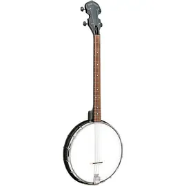 Банджо Gold Tone AC-4IT Composite 4-String Openback Irish Tenor Banjo
