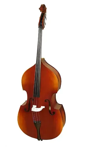 B110BAG-3/4 Rhapsody Student solid top Контрабас с чехлом Hora