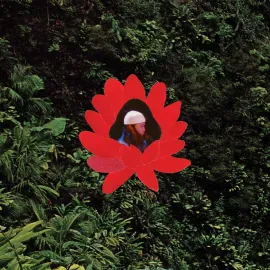 Виниловая пластинка Lionmilk – When The Flowers Bloom 2025