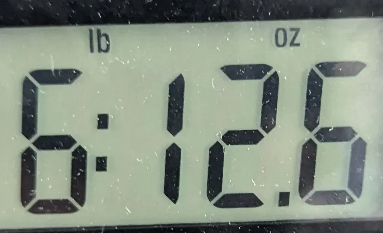 Изображение №11