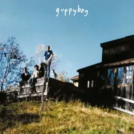 Виниловая пластинка Guppyboy - Jeffersonville [New Vinyl LP]