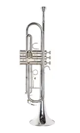 Труба Pierre Cesar JBTR-300S Bb