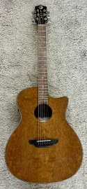Luna GYP E EU GN Gypsy Eucalyptus Grand Concert Acoustic Electric Guitar - B stk