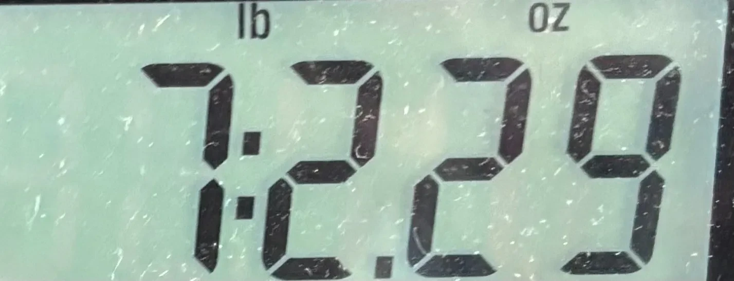 Изображение №9