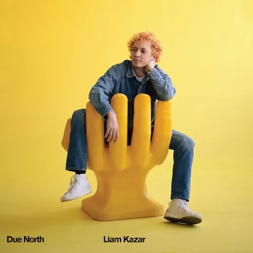 Виниловая пластинка Liam Kazar - Due North [New Vinyl LP]