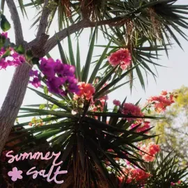 Виниловая пластинка Summer Salt - Campanita [New Vinyl LP] Colored Vinyl, Pink