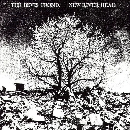 Виниловая пластинка The Bevis Frond - New River Head [New Vinyl LP] Gatefold LP Jacket