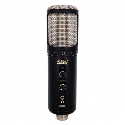 Студийный микрофон Soundking EB600