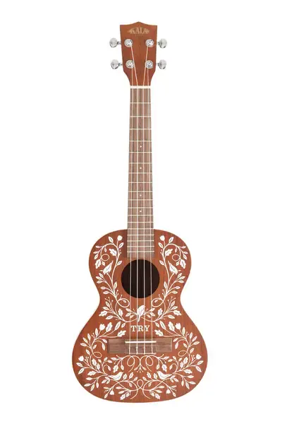 Укулеле Kala 3, Learn To Play Signature Tenor Ukulele Starter Kit