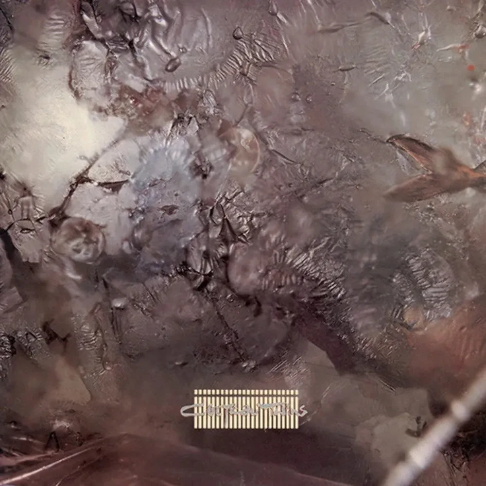 Виниловая пластинка Cocteau Twins – Head Over Heels Релиз 2018 Sealed