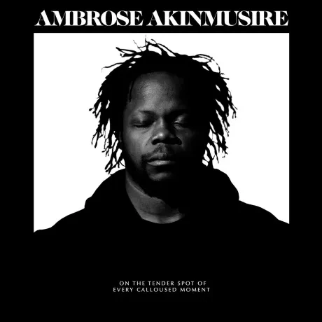 AMBROSE AKINMUSIRE - On The Tender Spot Of Every Calloused Moment (CD)