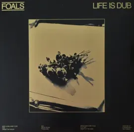 Виниловая пластинка FOALS – Life Is Dub