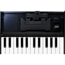 Roland Boutique K-25m 25-Note Portable Keyboard Unit for Boutique Modules #K-25M