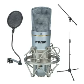 Audio Großmembran Kondensatormikrofon Set USB Podcast Streaming Silber Niere