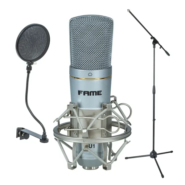 Audio Großmembran Kondensatormikrofon Set USB Podcast Streaming Silber Niere