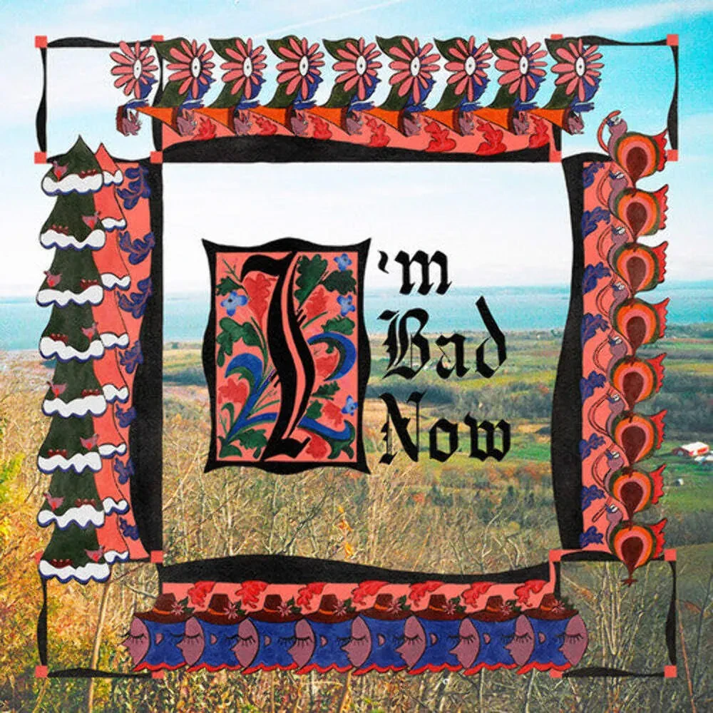 Nap Eyes - I'm Bad Now NEW Vinyl