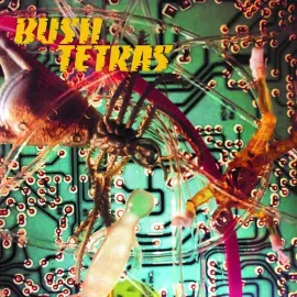 Виниловая пластинка Bush Tetras – There Is A Hum / Seven Years (Релиз 2019)